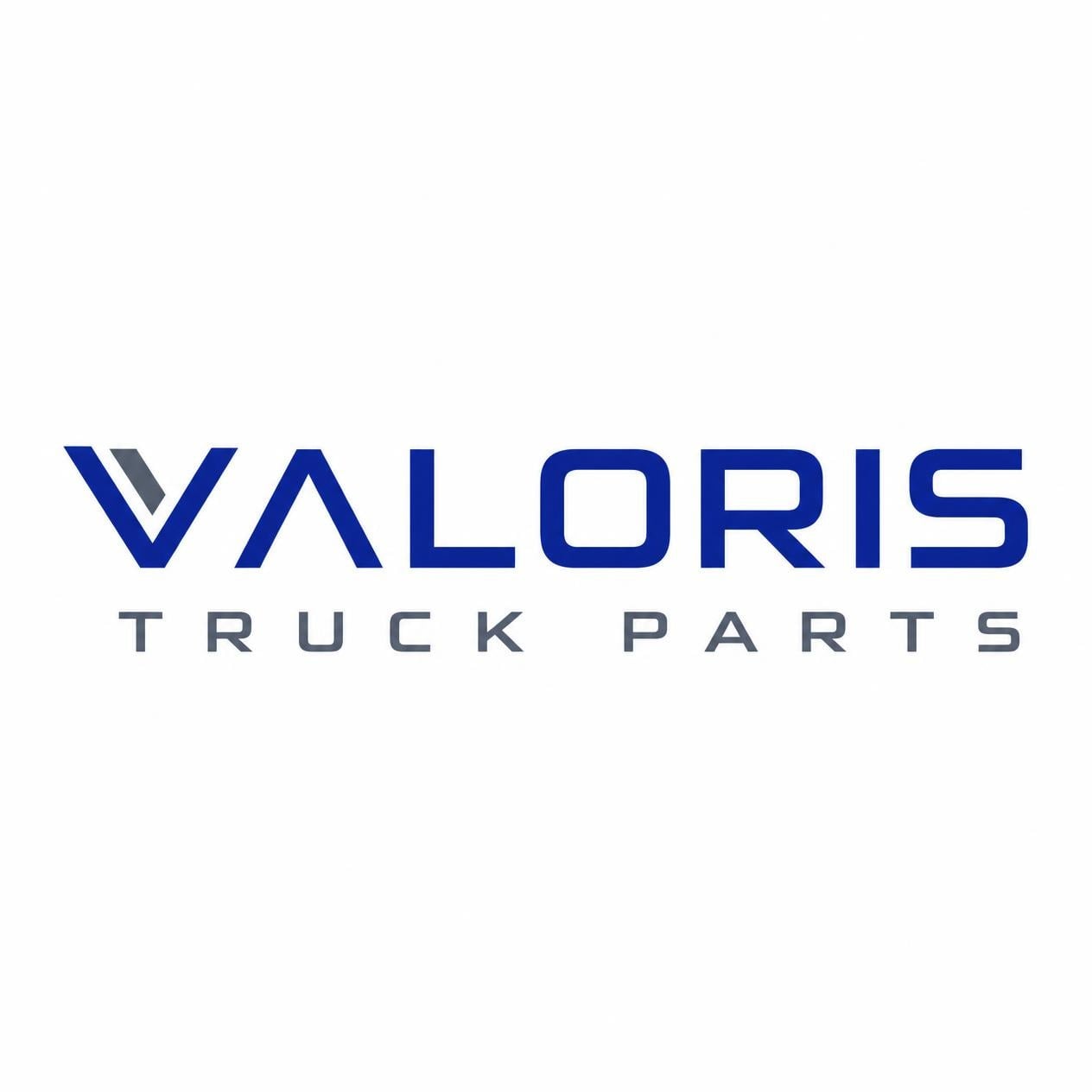 VALORİS Truck Parts